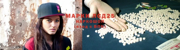 прущие грибы Покачи