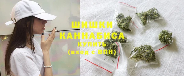 гидра Пестово