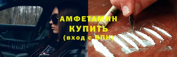 прущие грибы Покачи