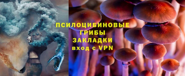 гидра Пестово