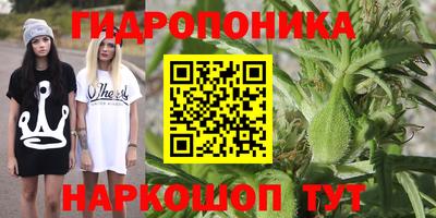 a pvp Азнакаево