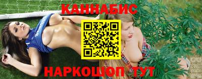 индика Абакан