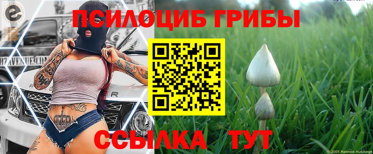 Галлюциногенные грибы ЛСД  наркошоп  Вход с VPN  Алушта  Псилоцибиновые грибы мухоморы 