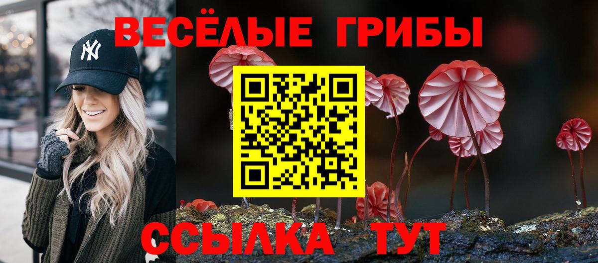 Псилоцибиновые грибы GOLDEN TEACHER  хочу   Псилоцибиновые грибы мицелий  Алушта  Вход с VPN 