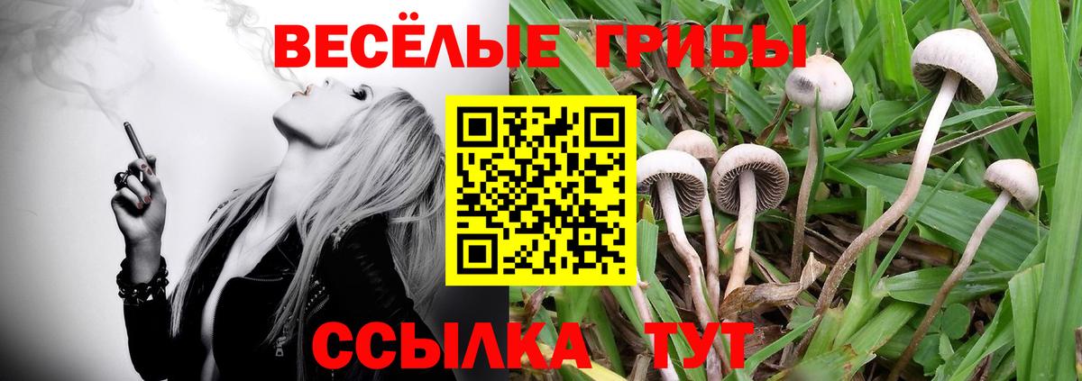 Галлюциногенные грибы мухоморы Алушта